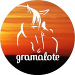 cropped-cropped-LOGO_Gramalote_reducido-removebg-preview.png